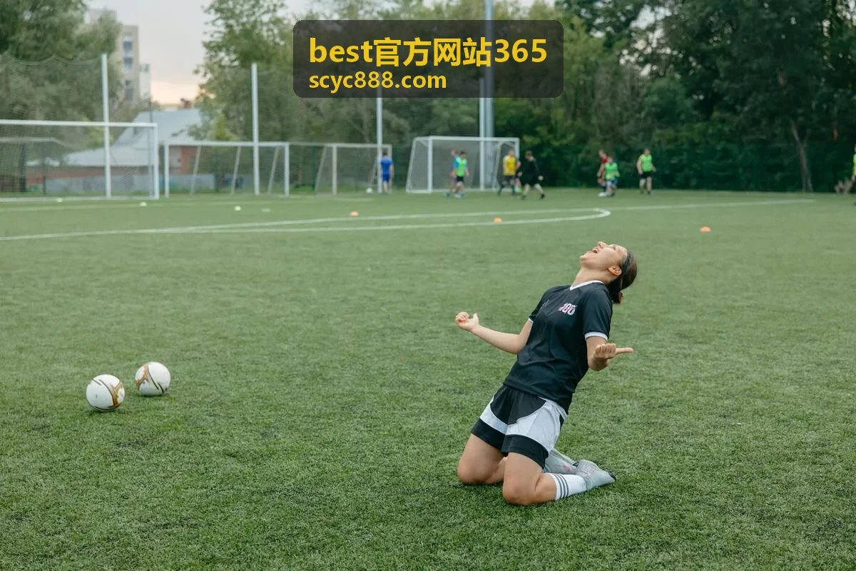 best官方网站365 安装与使用指南操作示意